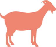 Grafik einer Ziege