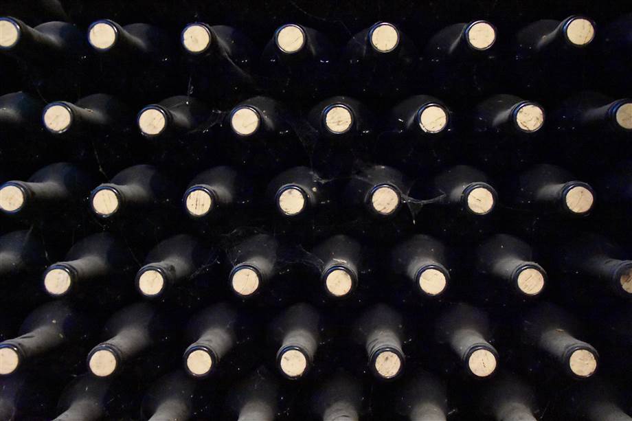 Symbolfoto zum Artikel: Bio-Wein vom heimischen Winzer - eine Investition in Umwelt und Geschmack
