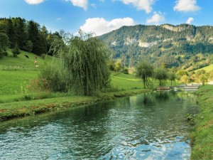 Unser Teich in Mariazell