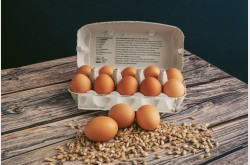 Symbolbild für 10 Pkg.BIO Eier vom Wanderhendl