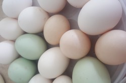 Symbolbild für Eier