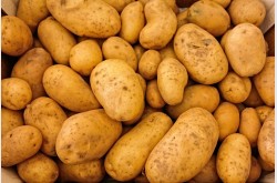 Symbolbild für Kartoffel
